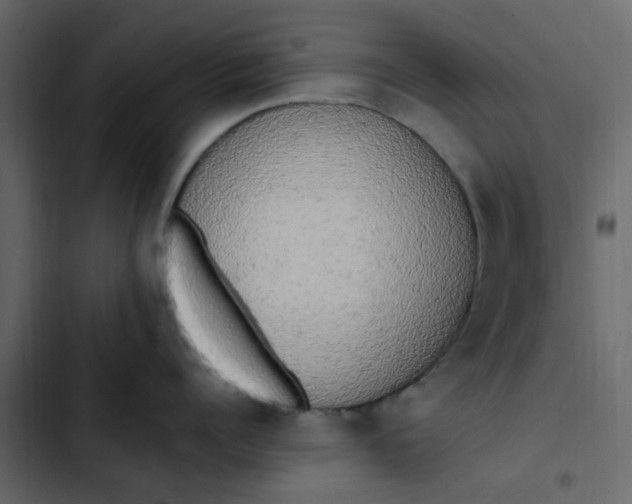 X0000102860960200809021421