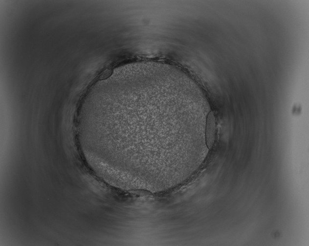 X0000102860961200809021421