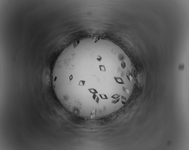 X0000102860963200809021421