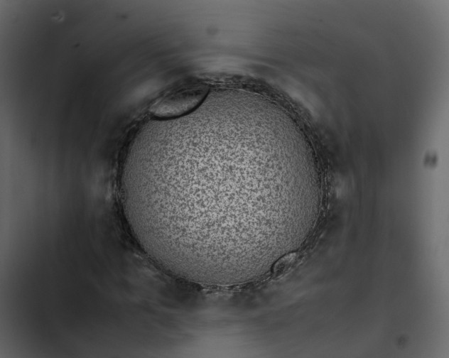 X0000102860965200809021421