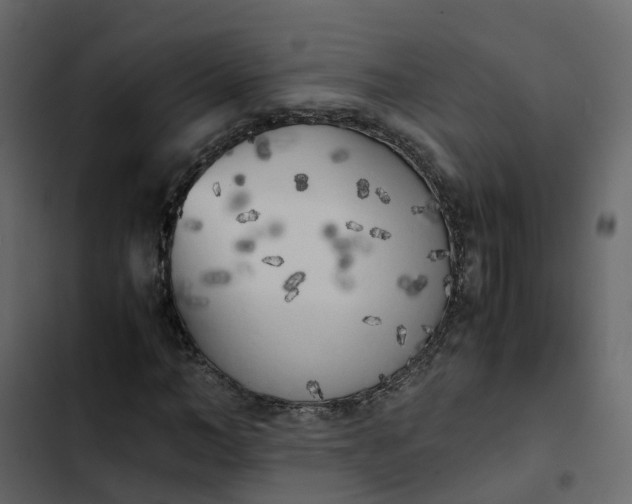 X0000102860966200809021420