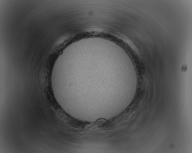 X0000102860967200809021420