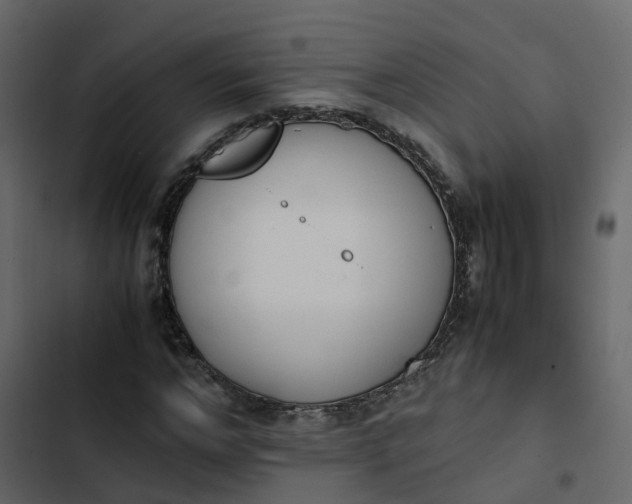 X0000102860968200809021420