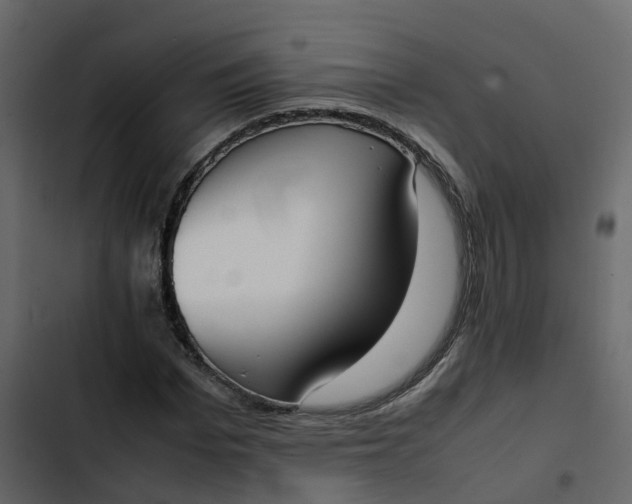 X0000102860969200809021420