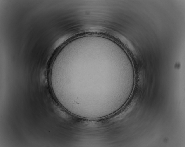 X0000102860970200809021420