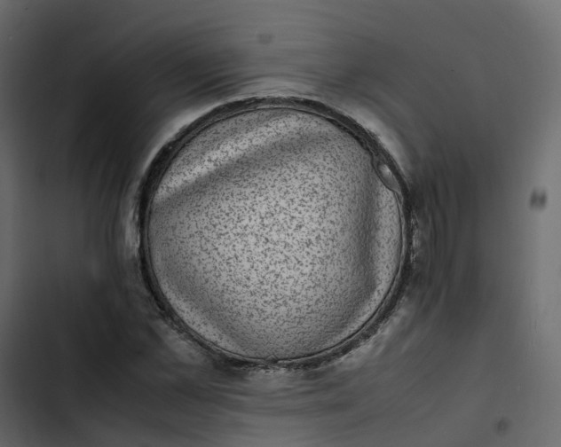 X0000102860973200809021420