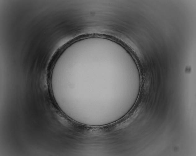 X0000102860974200809021420