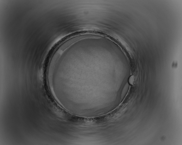 X0000102860975200809021420