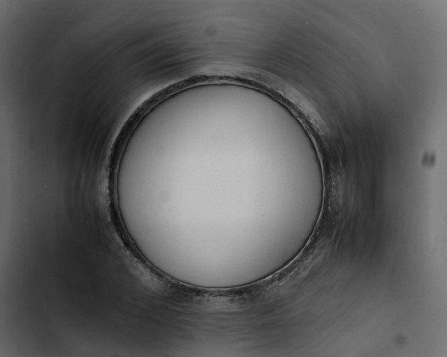 X0000102860976200809021420