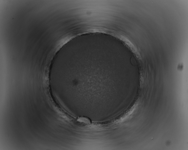 X0000102860977200809021420