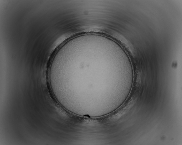 X0000102860978200809021420