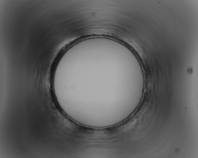 X0000102860979200809021420