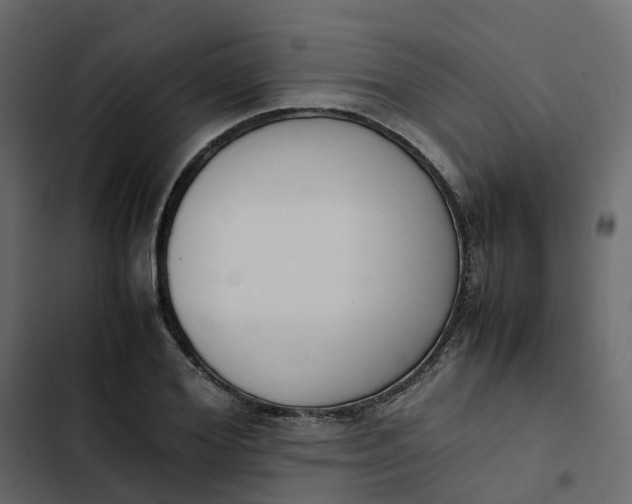 X0000102860980200809021420