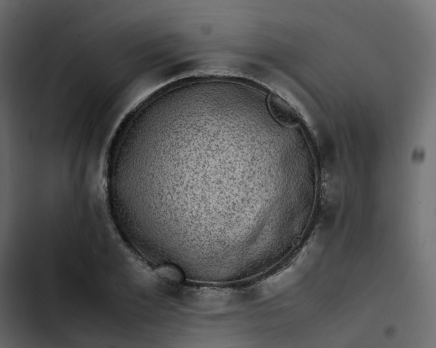 X0000102860981200809021420