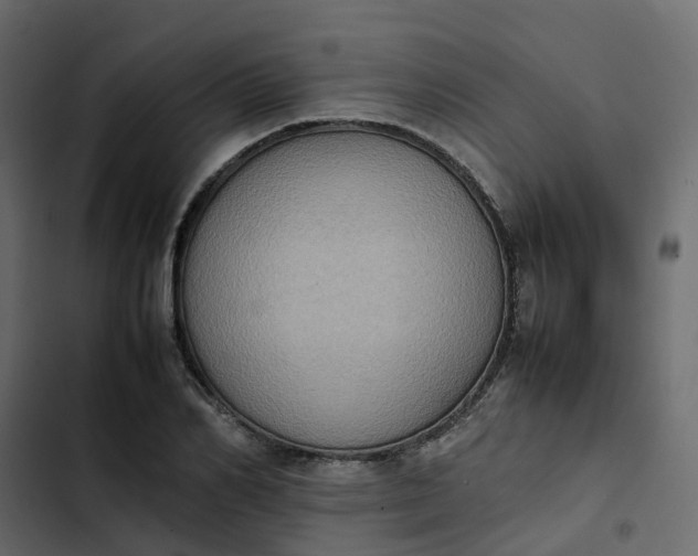 X0000102860982200809021420