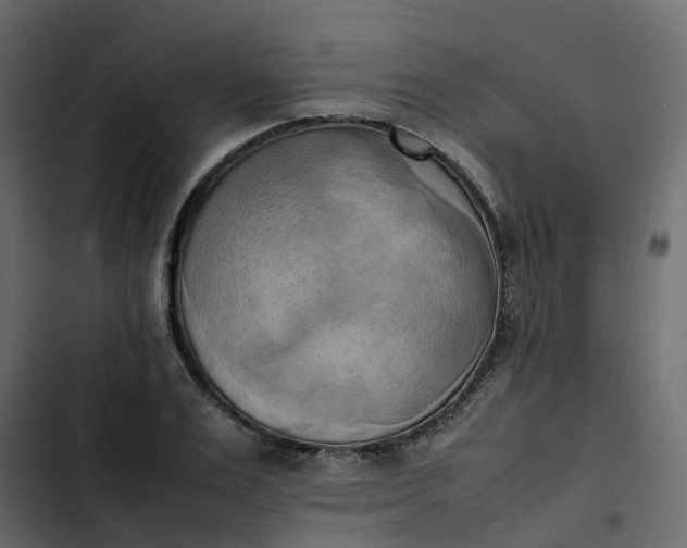 X0000102860983200809021420