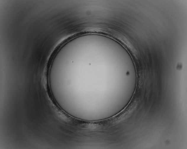 X0000102860984200809021420