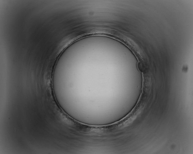 X0000102860985200809021420