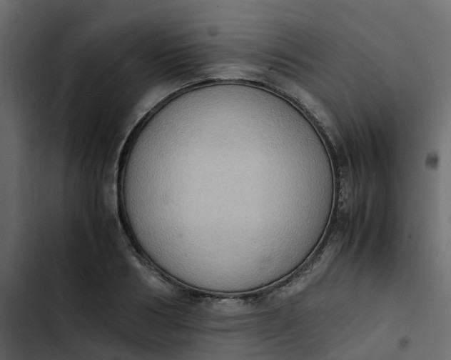 X0000102860986200809021420