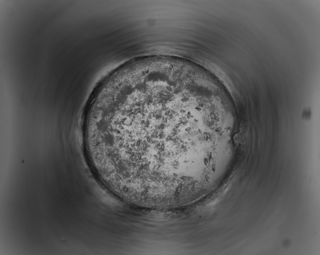 X0000102860987200809021420