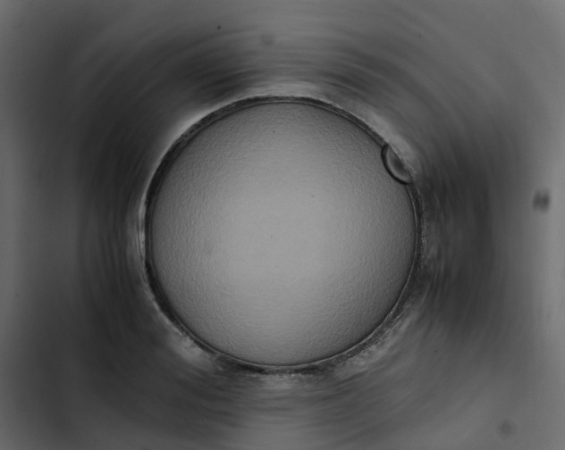 X0000102860988200809021420