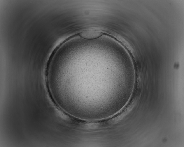 X0000102860989200809021420