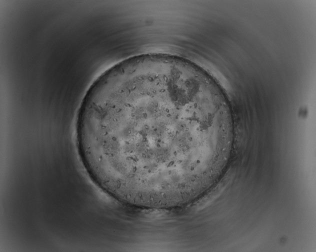 X0000102860991200809021420