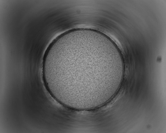 X0000102860992200809021420