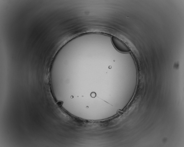 X0000102860993200809021420