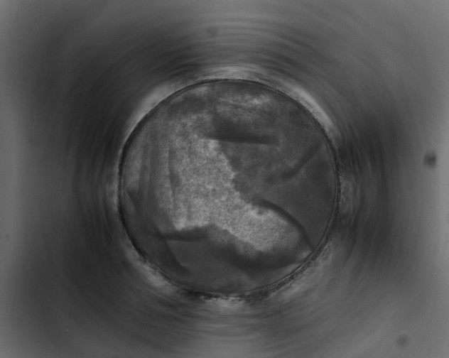 X0000102860994200809021420