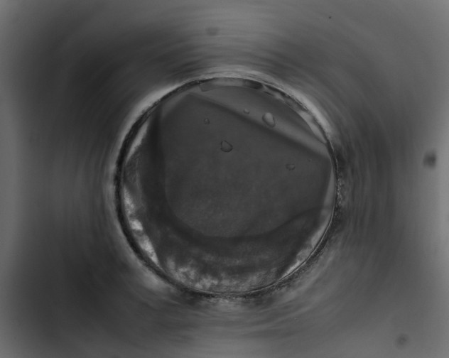 X0000102860995200809021420