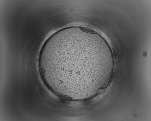 X0000102860997200809021420