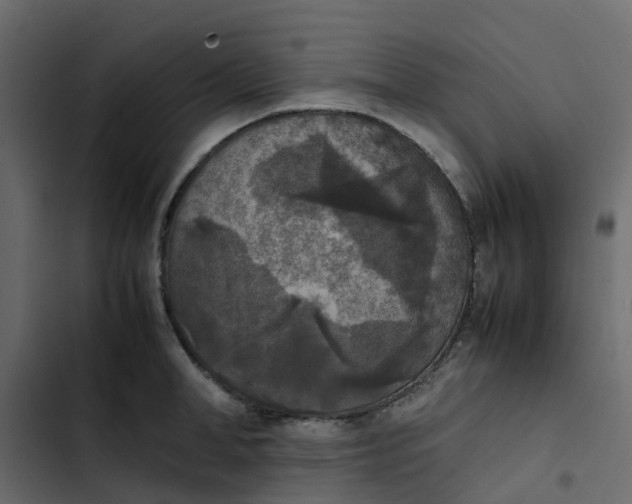 X0000102860998200809021420