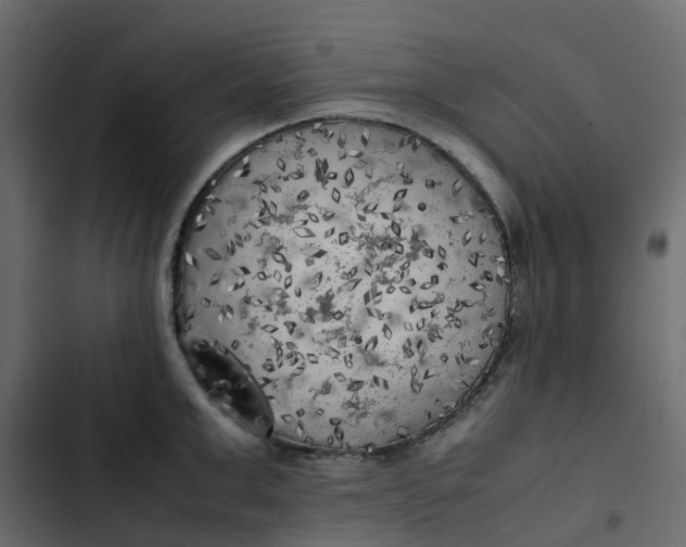 X0000102860999200809021420