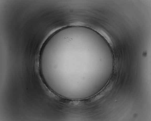 X0000102861000200809021420