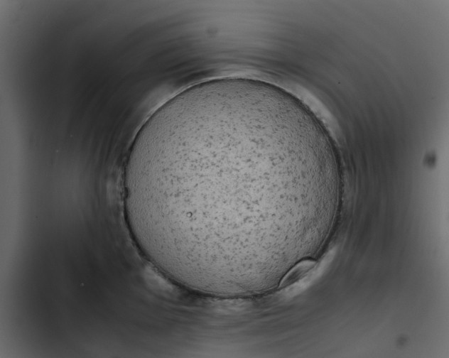 X0000102861001200809021420