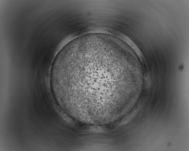 X0000102861002200809021420