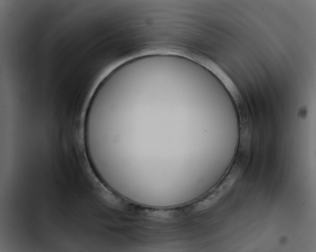 X0000102861004200809021420