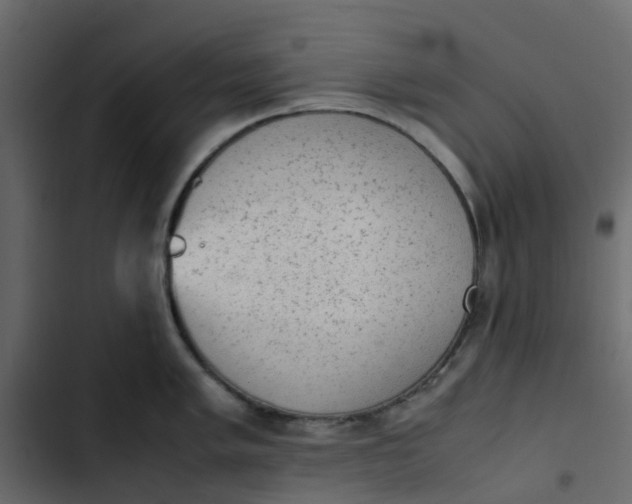 X0000102861005200809021420