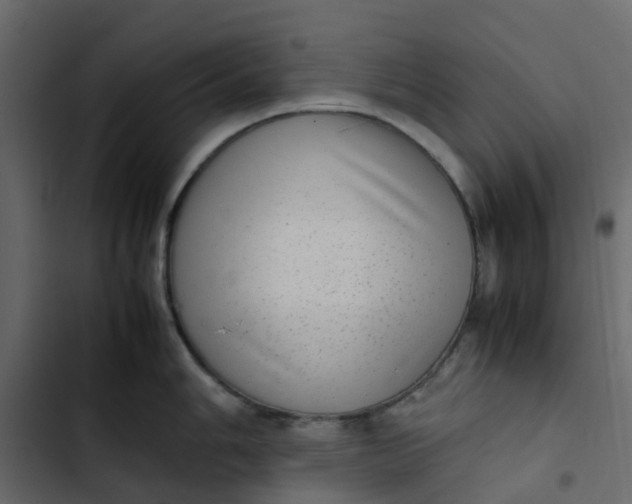 X0000102861006200809021420