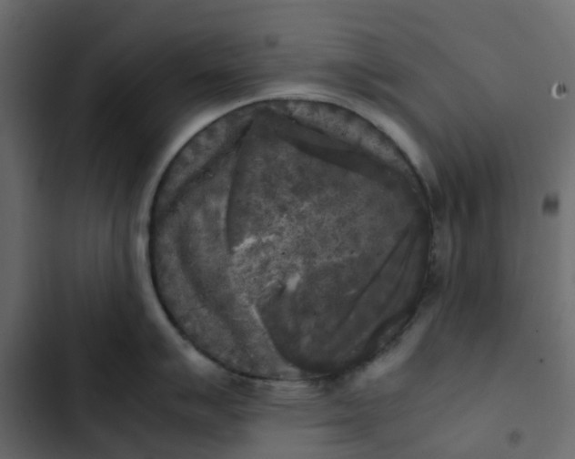 X0000102861007200809021420