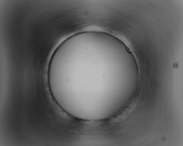 X0000102861008200809021420