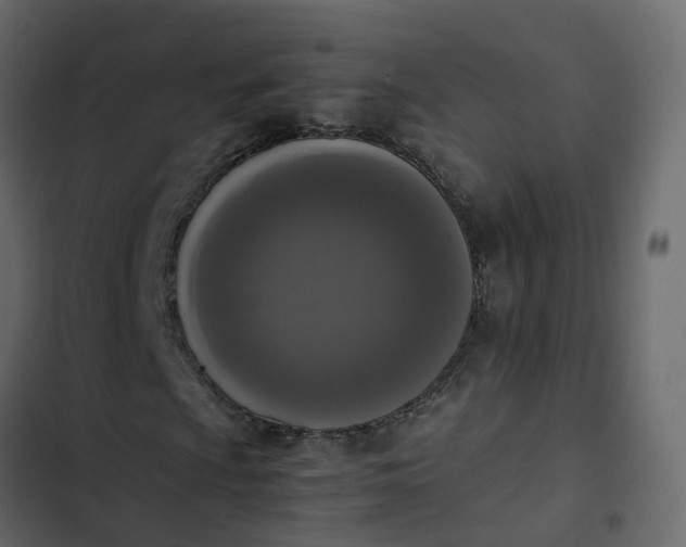 X0000102861009200809021419