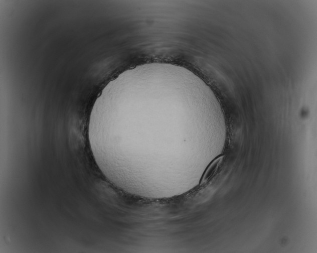 X0000102861010200809021419