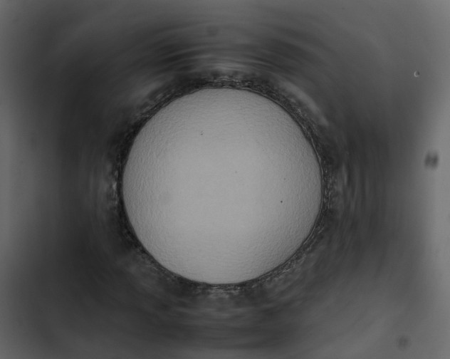 X0000102861013200809021419