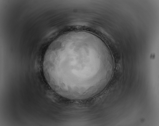 X0000102861014200809021419