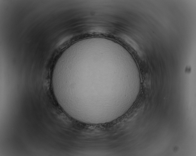 X0000102861015200809021419