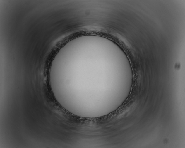 X0000102861016200809021419