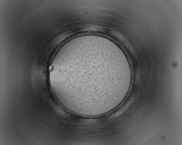 X0000102861017200809021419