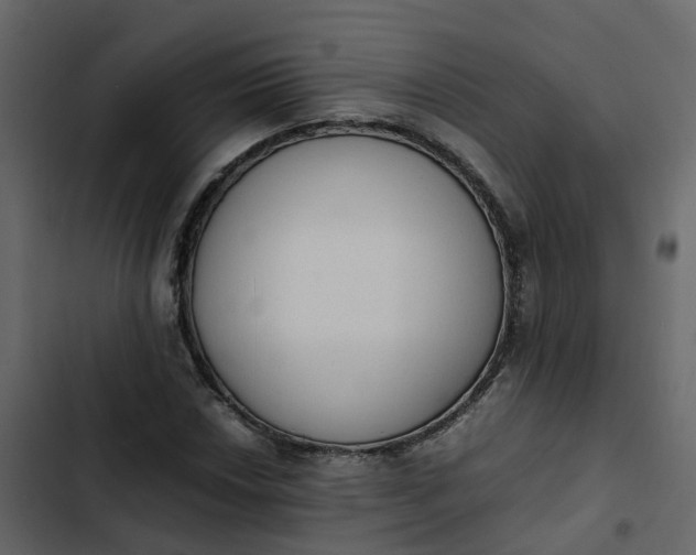 X0000102861018200809021419